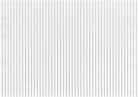 C4 TARRACONESIS3 NIEVE