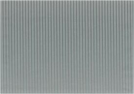 C4 TARRACONESIS4 ZENITH