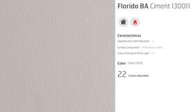 C6 LEATHER FLORIDA CEMENT