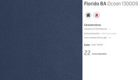 C6 PIEL FLORIDA OCEAN