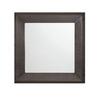 MIRROR_image