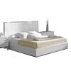 CAMA KING (USA)_image