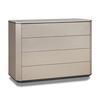 CHEST_image