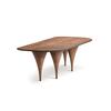 MESA (Tapa fija con forma organica)_image