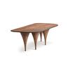 MESA (Tapa fija con forma organica)_image